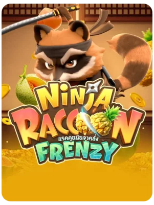 Ninja Raccoon Frenzy